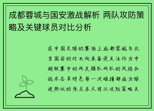 成都蓉城与国安激战解析 两队攻防策略及关键球员对比分析