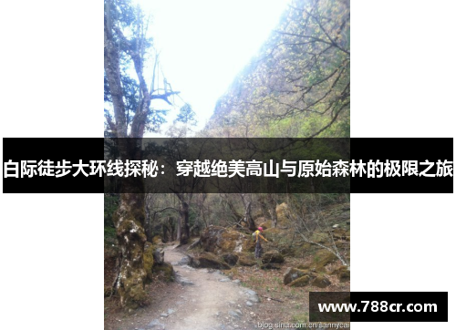 白际徒步大环线探秘：穿越绝美高山与原始森林的极限之旅