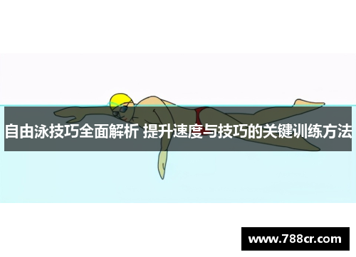 自由泳技巧全面解析 提升速度与技巧的关键训练方法