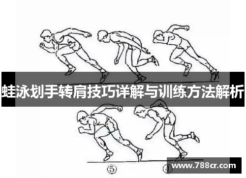 蛙泳划手转肩技巧详解与训练方法解析