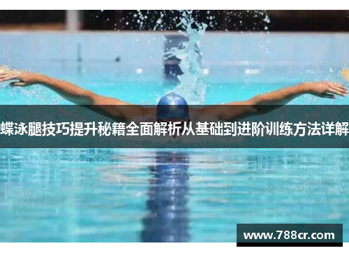 蝶泳腿技巧提升秘籍全面解析从基础到进阶训练方法详解